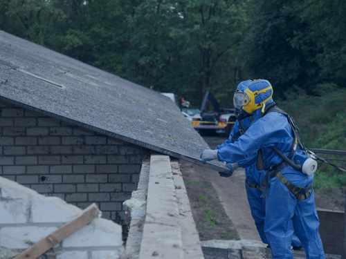 Mold and asbestos removal services 